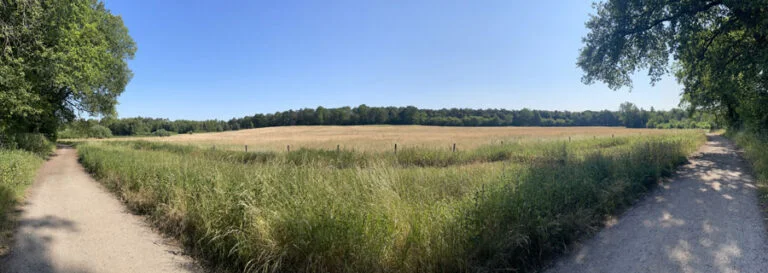Brede zandpaden langs een uitgestrekt groen veld onder een heldere blauwe hemel, omgeven door bomen aan de horizon.